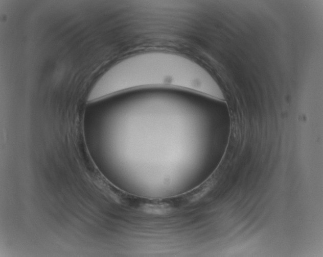 X0000081630556200701151123