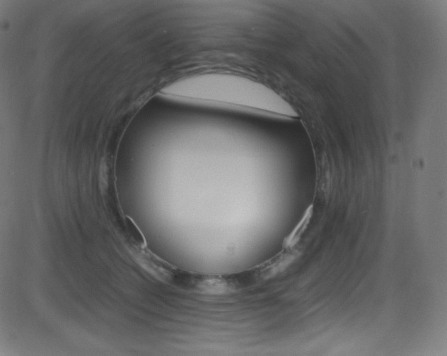 X0000081630562200701151123