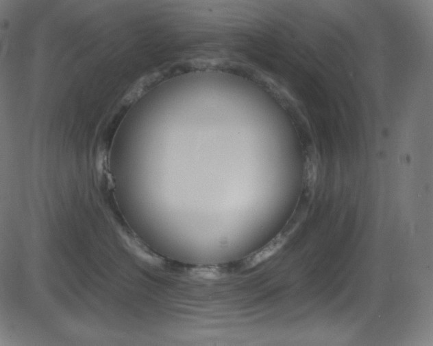 X0000081630574200701151123