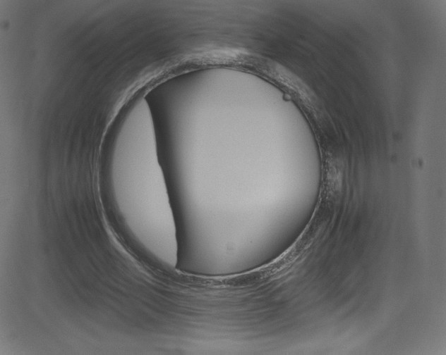 X0000081630582200701151122