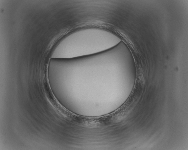 X0000081630586200701151122