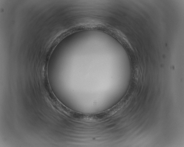 X0000081630596200701151122