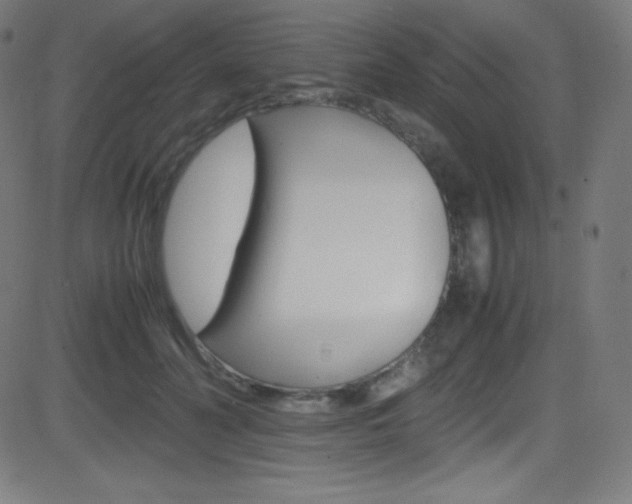 X0000081630606200701151122