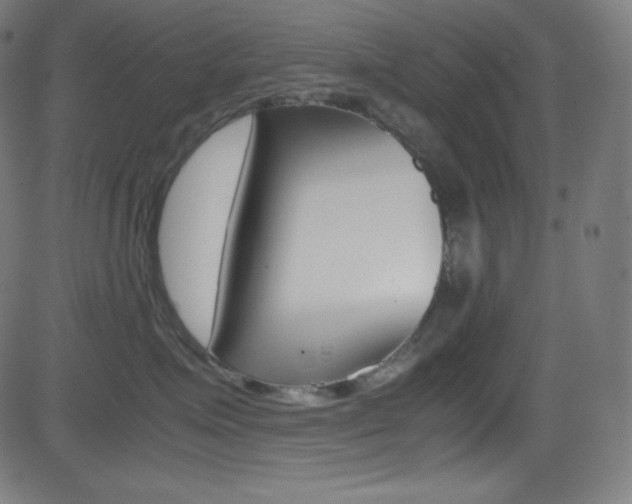 X0000081630623200701151121
