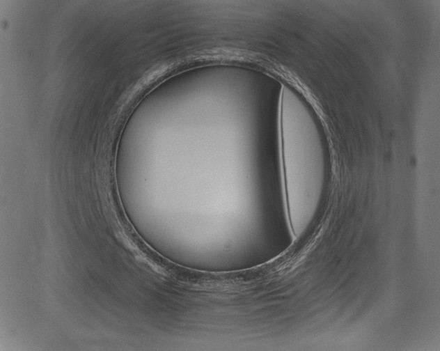 X0000081630625200701151121