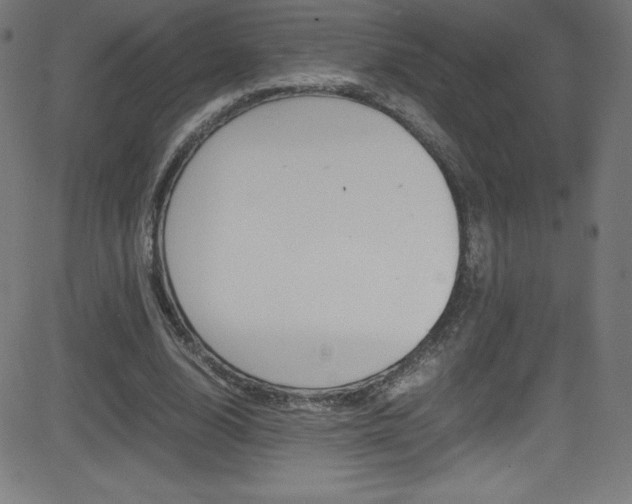 X0000081630632200701151121