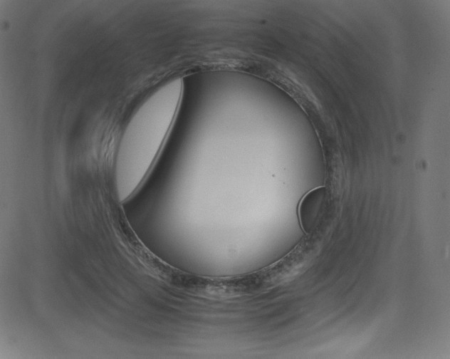 X0000081630641200701151121
