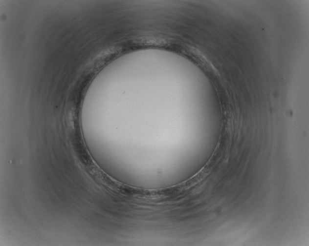 X0000081630643200701151121