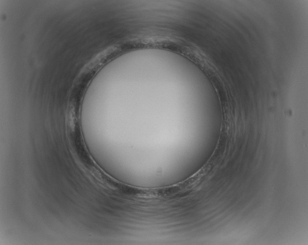 X0000081630644200701151121