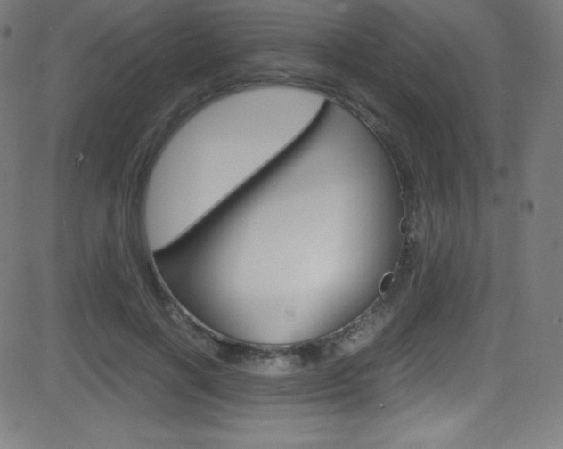 X0000081630646200701151121