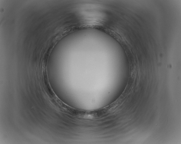 X0000081630647200701151121