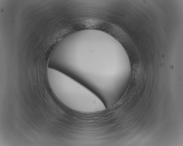 X0000081630650200701151121