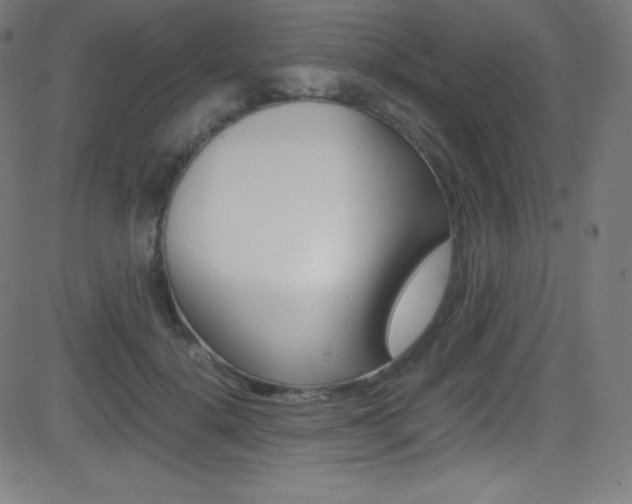 X0000081630652200701151121