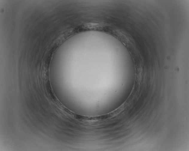 X0000081630653200701151121