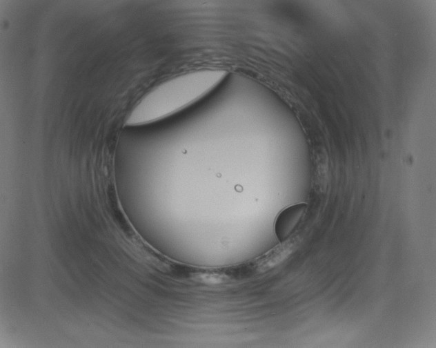 X0000081630654200701151121