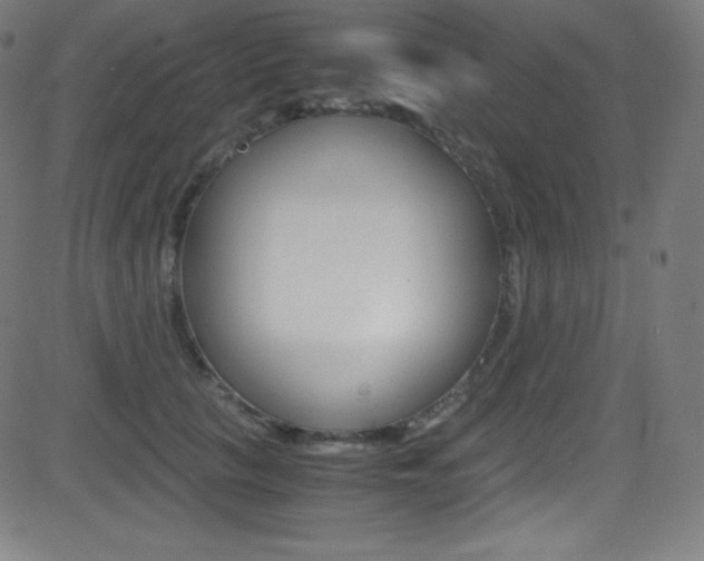 X0000081630657200701151121