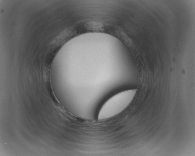 X0000081630658200701151121