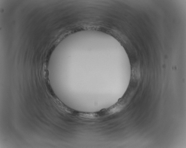 X0000081630671200701151121