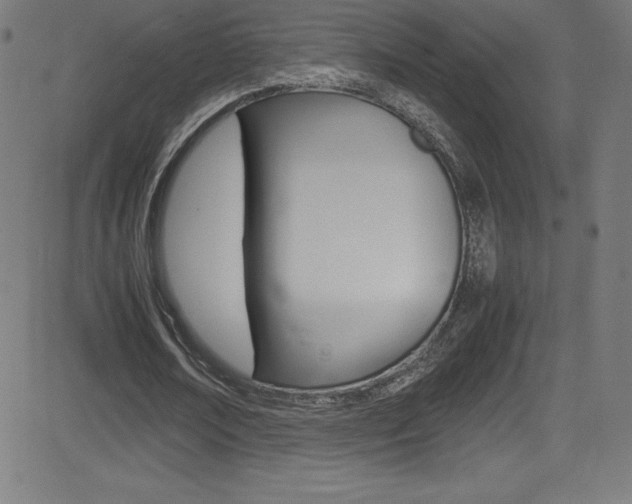 X0000081630674200701151121