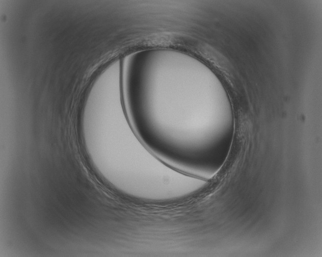 X0000081630681200701151120