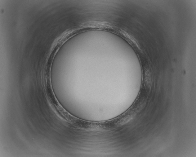 X0000081630682200701151120