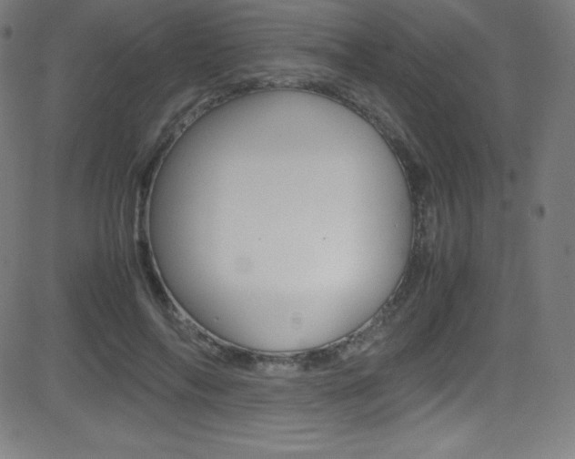 X0000081630694200701151120