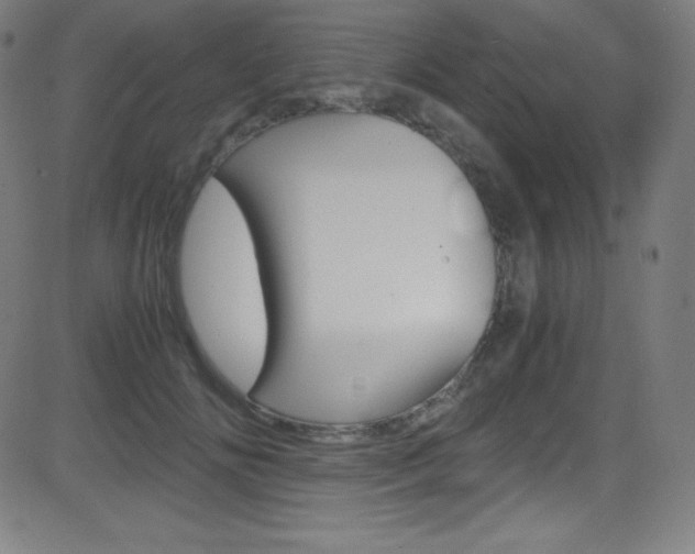 X0000081630702200701151120