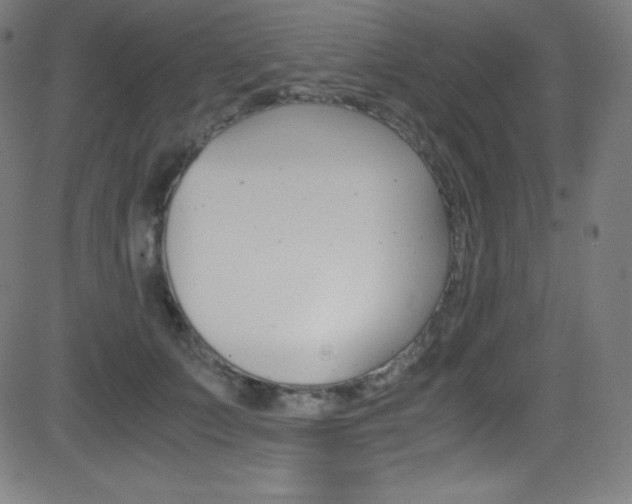 X0000081630703200701151120