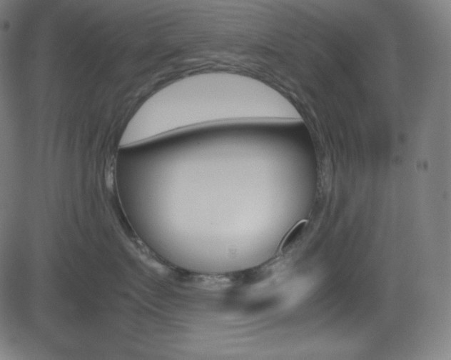 X0000081630719200701151120