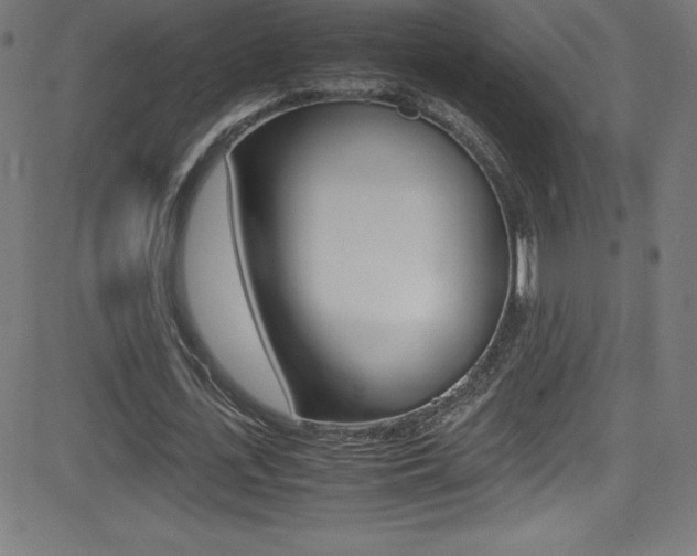 X0000081630723200701151119