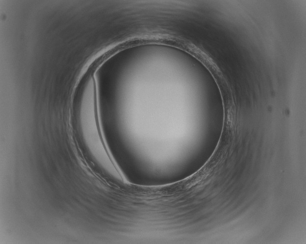 X0000081630724200701151119
