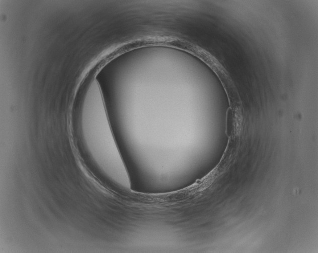 X0000081630726200701151119