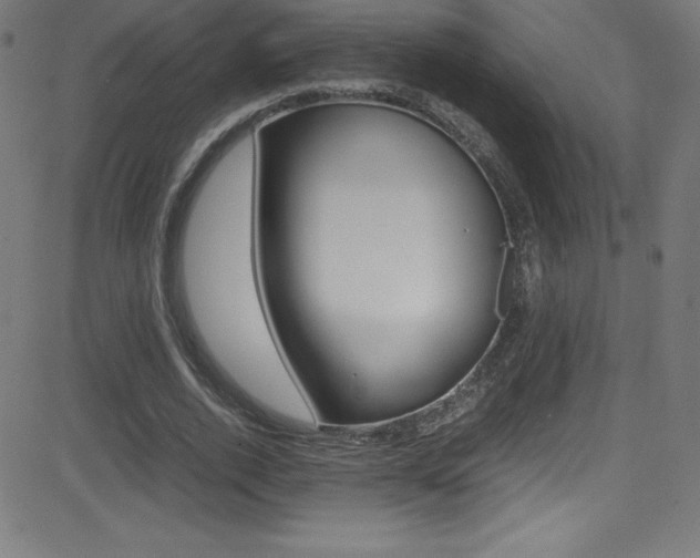 X0000081630728200701151119