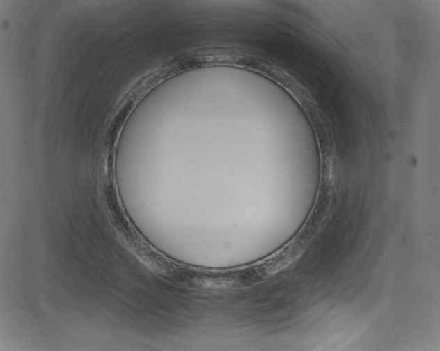 X0000081630733200701151119
