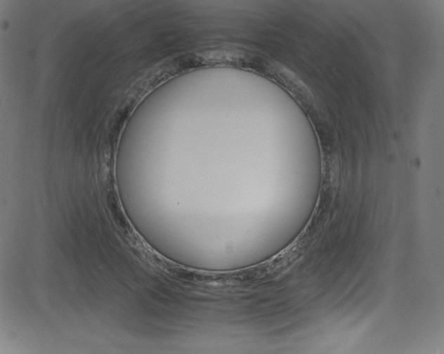 X0000081630737200701151119