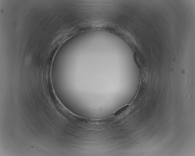 X0000081630740200701151119