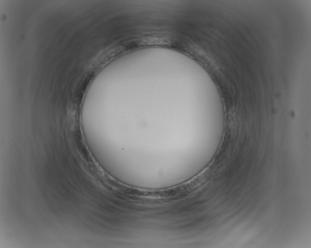 X0000081630741200701151119