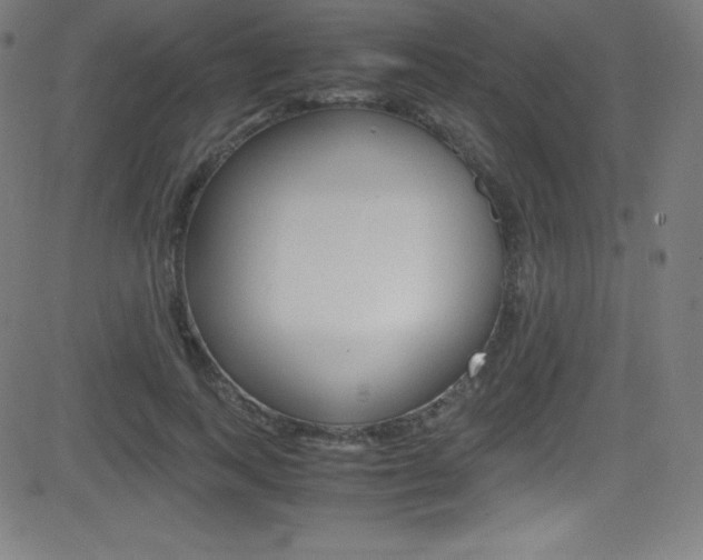 X0000081630743200701151119