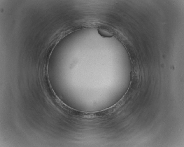 X0000081630744200701151119