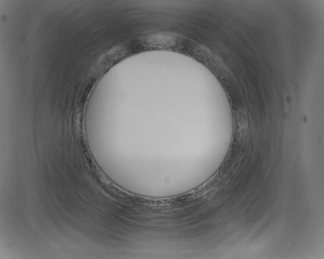 X0000081630745200701151119
