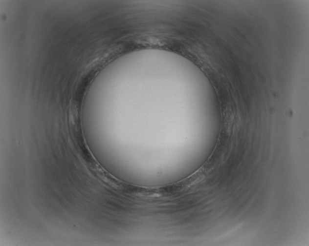 X0000081630747200701151119