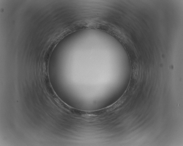 X0000081630748200701151119