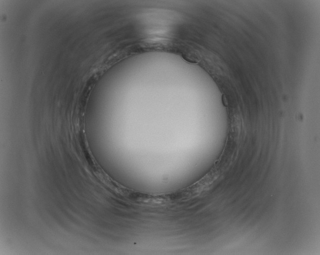 X0000081630751200701151120