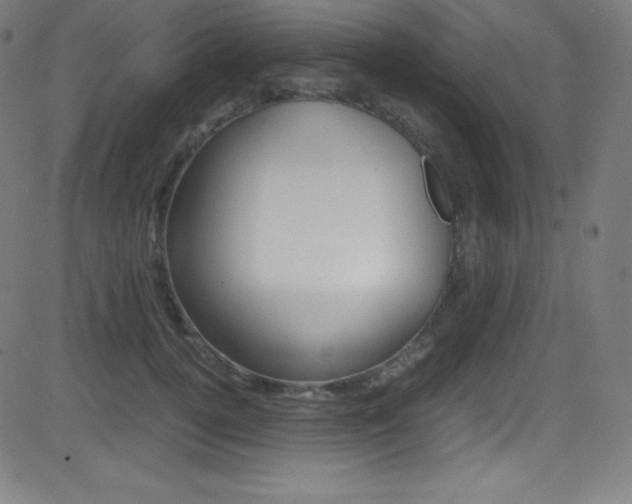 X0000081630752200701151120