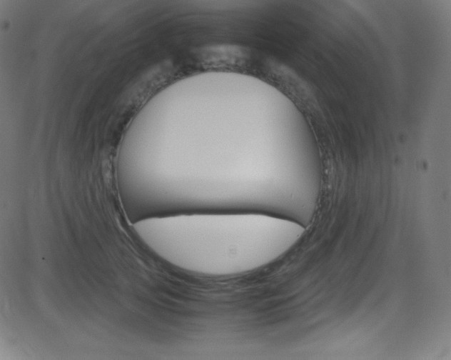 X0000081630753200701151120