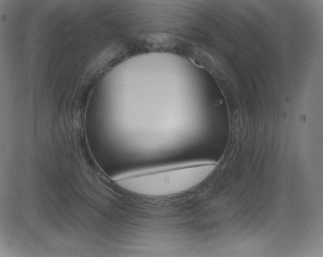 X0000081630756200701151120