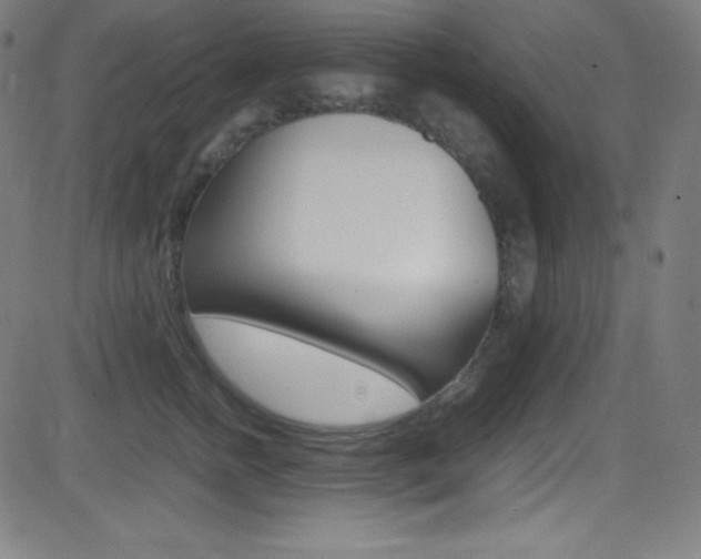 X0000081630758200701151120