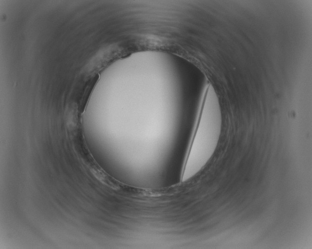 X0000081630760200701151120