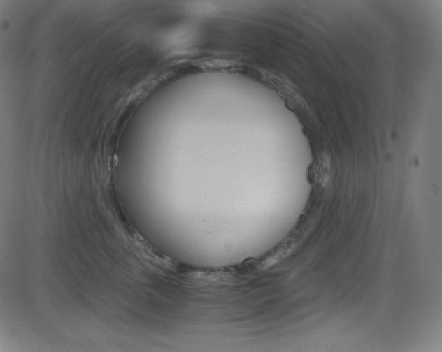 X0000081630763200701151120