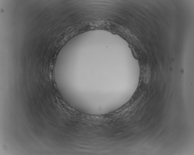 X0000081630770200701151119